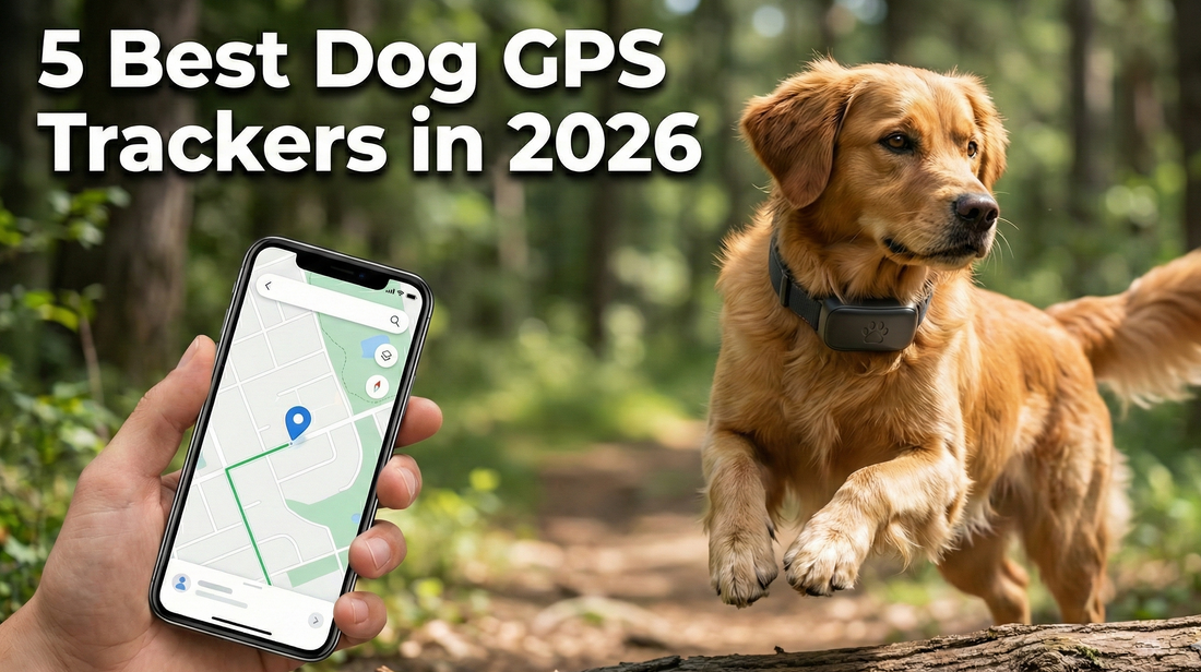 5 Best Dog GPS Trackers in 2026: Approved By Vets & Pet Owners