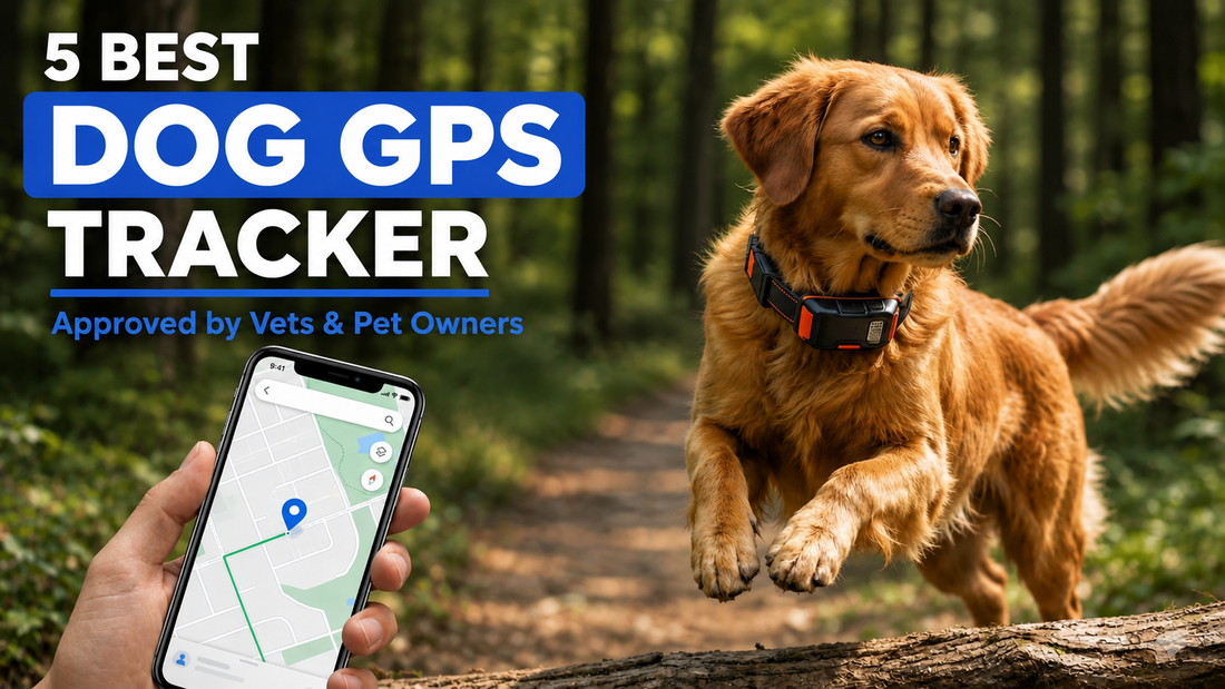 5 Best Dog GPS Trackers 2026