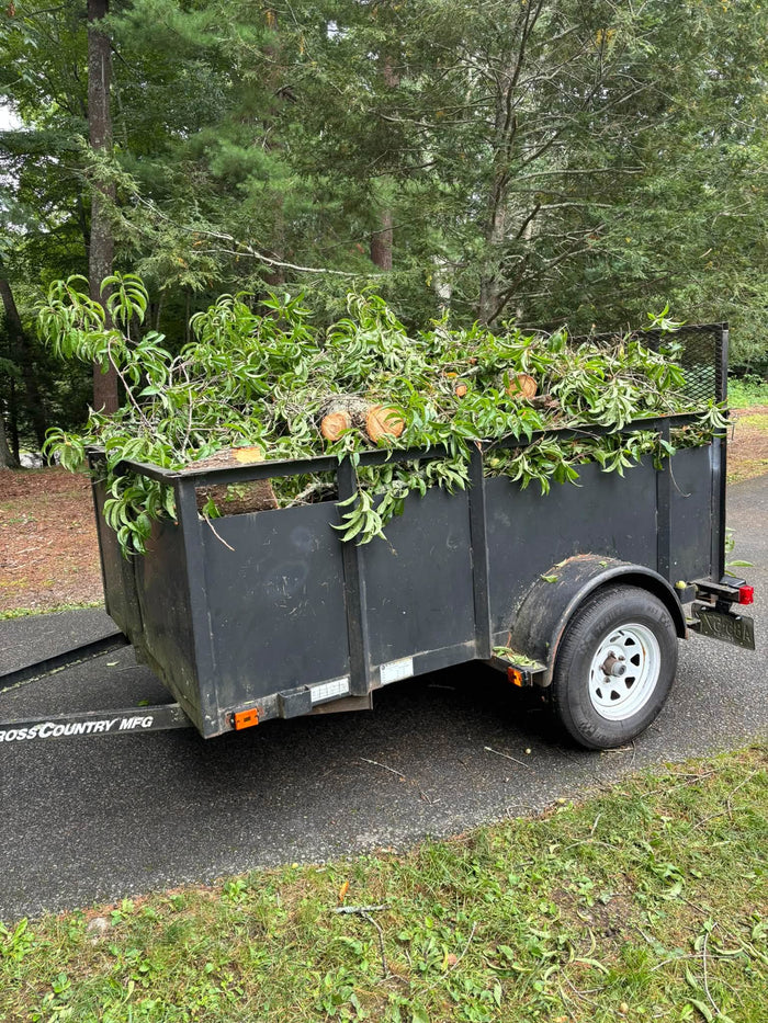 Trailers